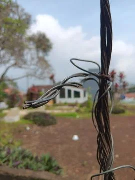 Wire portrait Stock Photos