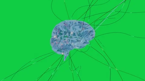 Wire pulses starting blue brain rotating, pulsing nodes showing activity, Stock Footage 339724916