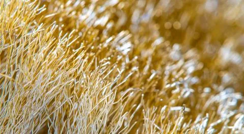 Wire Scratch Brush, Brass with Plastic Handle on white background. Stock Photos