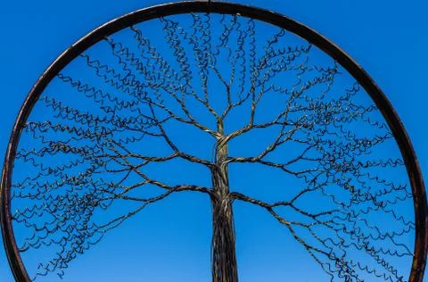 Wire Tree Branches Rim Stock Photos