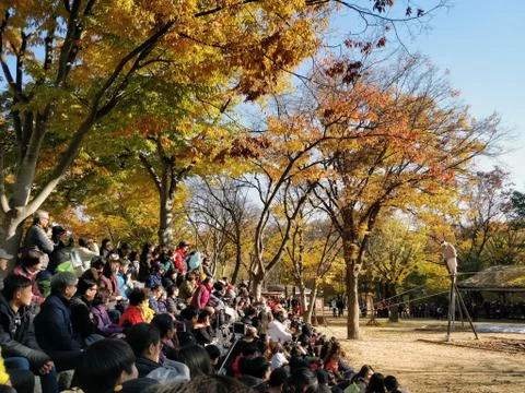 A wire-walker gets ready to perform at Korean Folk Village 스톡 사진