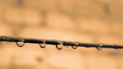Wire with water drops Foto stock