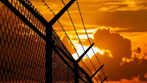Wired Fence with Barbed Wire and Mesh Steel Wall with Sunset in Background 動画素材 102666580