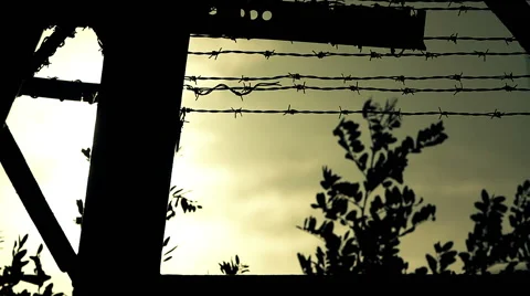 Wired fence with sunset Stock Footage 55411435