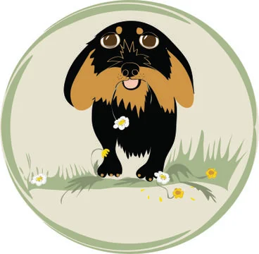 Wired haired dachshund on the meadow 스톡 일러스트