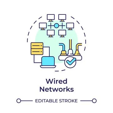 Wired networks multi color concept icon Stock Illustration