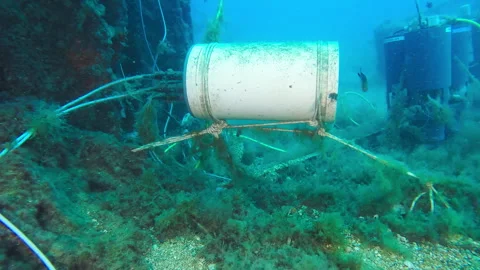 Wired station on the seabed Stock Footage 263115562