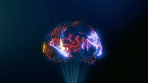Wireframe 3D Animation of Human Brain. Rotating Brain Model with Neural Network Stock Footage 131683229