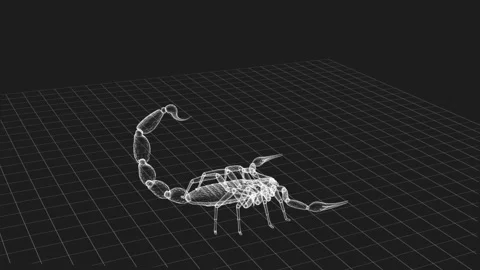 Wireframe 3D Model of Scorpion in Virtual Environment on Grid Background 库存影片 344032645