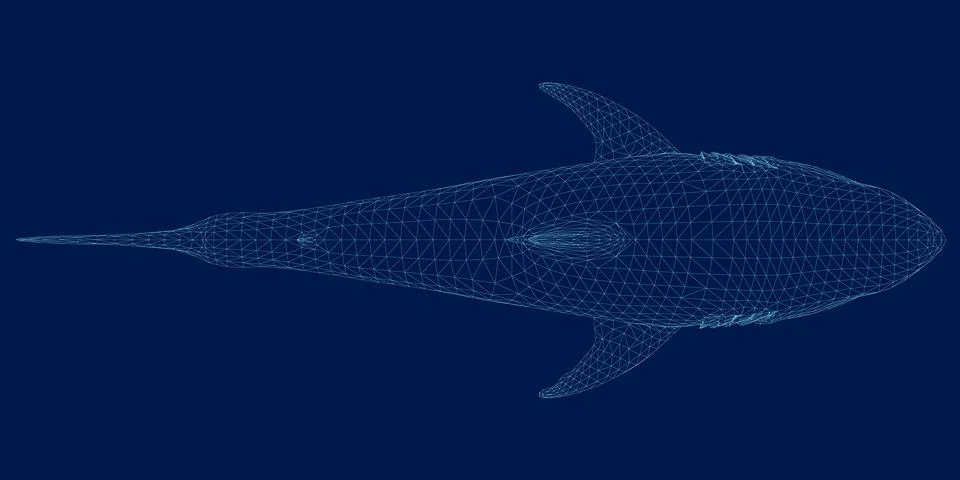 Wireframe Abstract shark form lines and triangles, point connecting network on Stock-Illustration