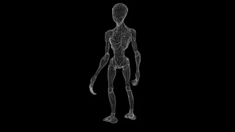 Wireframe Alien Figure Illustration Against a Black Background Stock Footage 339053141