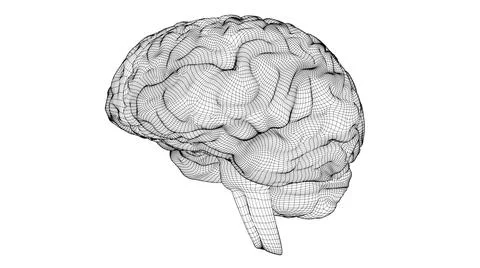 Wireframe brain 3D Illustrazione stock