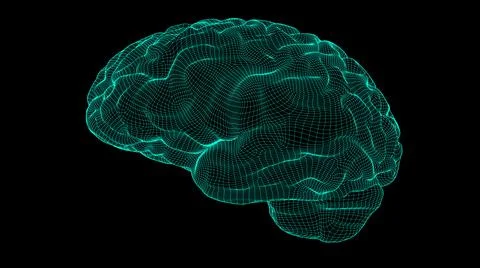 Wireframe brain 3D Stock Illustration