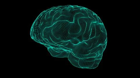 Wireframe brain 3D Stock Illustration