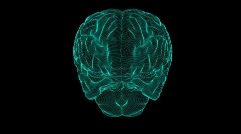 Wireframe brain 3D Stock Illustration