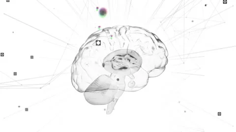 Wireframe brain rotating in technology scene pulsing nodes and lines expanding Stock Footage 310969938