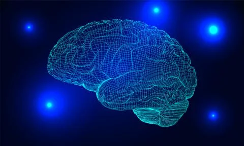 Wireframe brain vector Stock Illustration