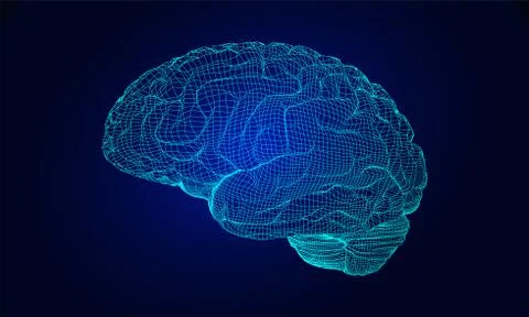 Wireframe brain vector Stock Illustration