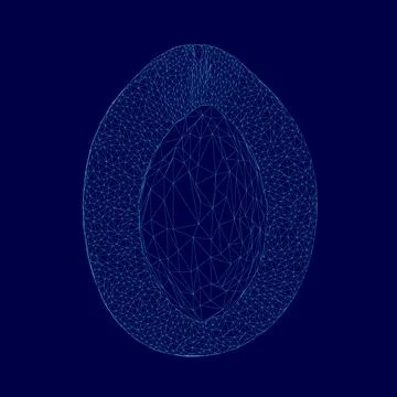 The wireframe of a cut avocado with the pit. Vector illustration Ilustração Stock