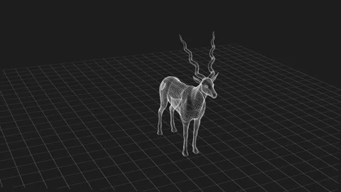 Wireframe Digital Deer Art with Detailed Antlers in a 3D Grid Landscape 库存影片 342605360
