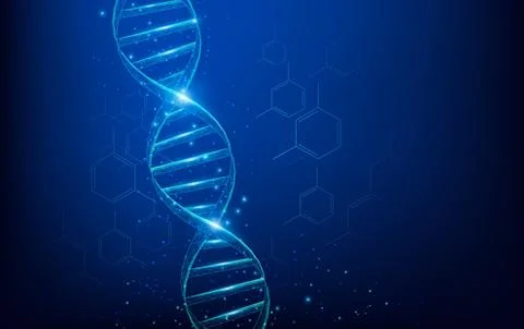 Wireframe DNA molecules structure mesh low poly consisting of points, lines, and Stock Illustration