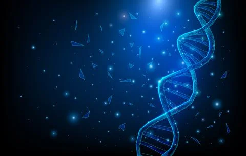 Wireframe DNA molecules structure mesh low poly consisting of points, lines, and Illustrazione stock