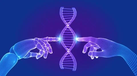 Wireframe DNA sequence molecules structure mesh. Hands of robot and human tou Stock Illustration