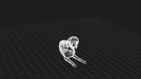 Wireframe Dog Model on Grid Surface: Exploring 3D Visualization and Design .. 库存影片 342781592