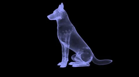 Wireframe dog plexus Stock Illustration