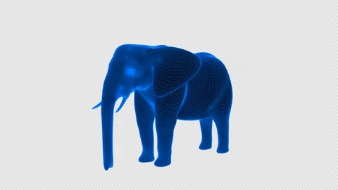 Wireframe elephant, elephant technology Stock Footage 258887340