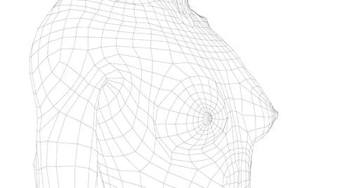 Wireframe female breast. Close-up view Illustrazione stock