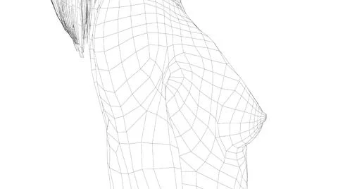 Wireframe female breast. Close-up view Illustrazione stock