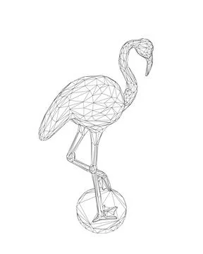 Wireframe flamingo vector illustration isolated on white background. Exotic Stock Illustration