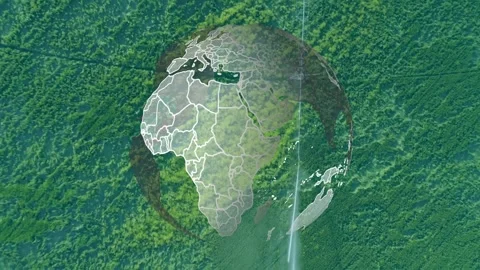 Wireframe globe fading over canopy, rotating slowly, revealing continents Stock Footage 322220615