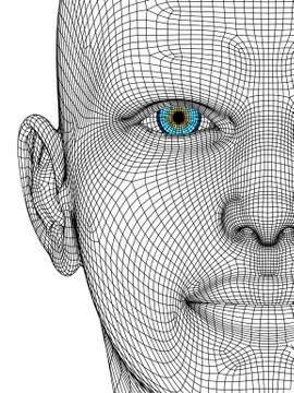 Wireframe head Stock Illustration