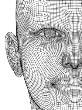 Wireframe head Stock Illustration