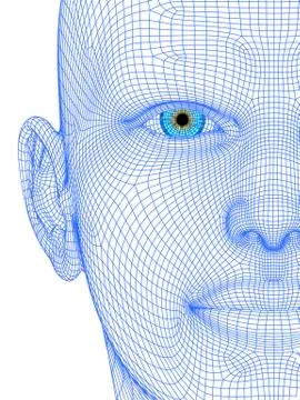 Wireframe head Stock Illustration