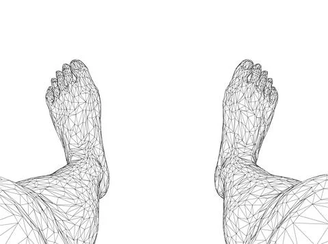 Wireframe of human legs from black lines isolated on white background. View.. Stock Illustration