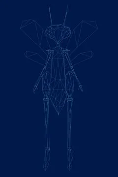 Wireframe low poly humanoid dragonfly. The line beetle stands on two legs. Front Stock Illustration