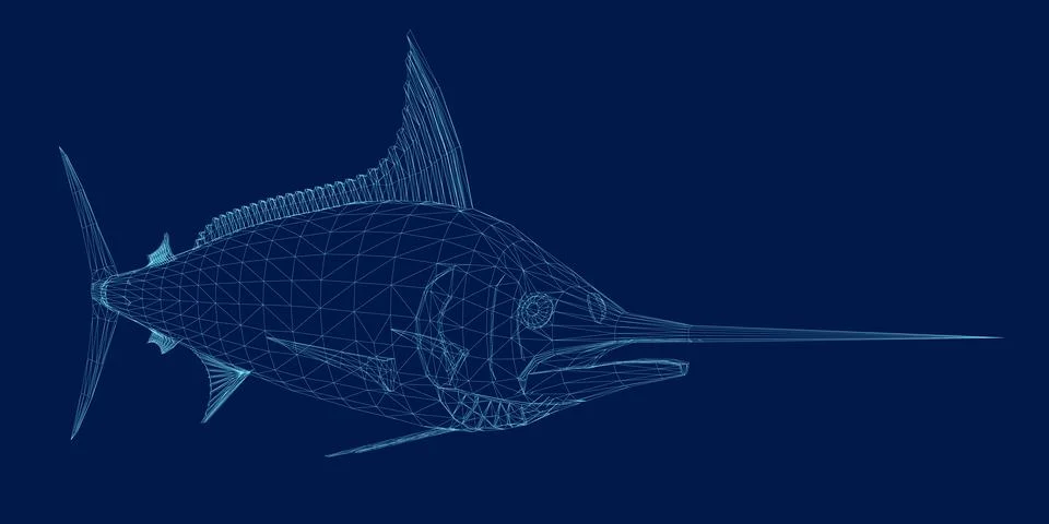 Wireframe marlin fish isolated on blue. Side view. Vector illustration Stock Illustration