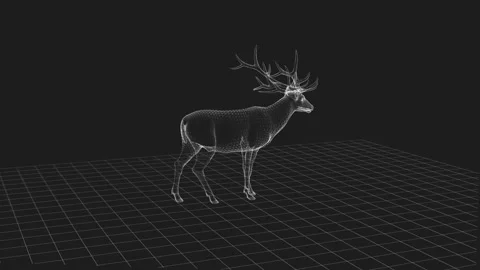 Wireframe Model of a Majestic Deer on a Grid Background in Monochrome Stock Footage 342246333