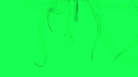 Wireframe rendering abstract octopus on green screen background Stock Footage 337921696