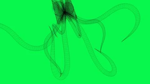 Wireframe rendering abstract octopus on green screen background Stock Illustration