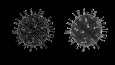 Wireframe rendering of coronavirus in two mesh densities. Seamless loop. Stock Footage 123530339