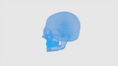 Wireframe Skull Stock Footage 162128972