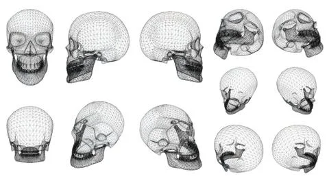 Wireframe Skull Stock Illustration