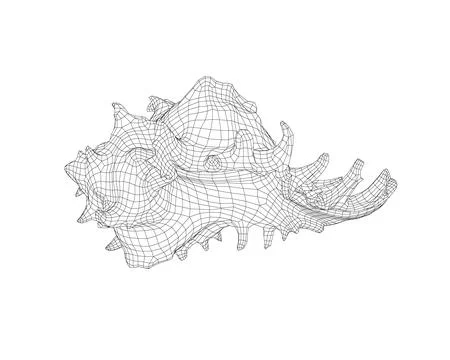 Wireframe spiral conch sea shell, sketch style vector illustration isolated on Stock Illustration