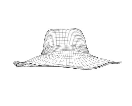 Wireframe summer hat. Vector illustration. Beach sun protection hat. Female Stock Illustration