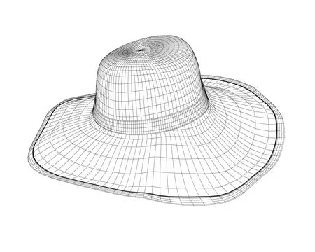Wireframe summer hat. Vector illustration. Beach sun protection hat. Female Stock Illustration