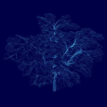Wireframe tree on dark blue tech background, triangles style design. Vector Stock Illustration